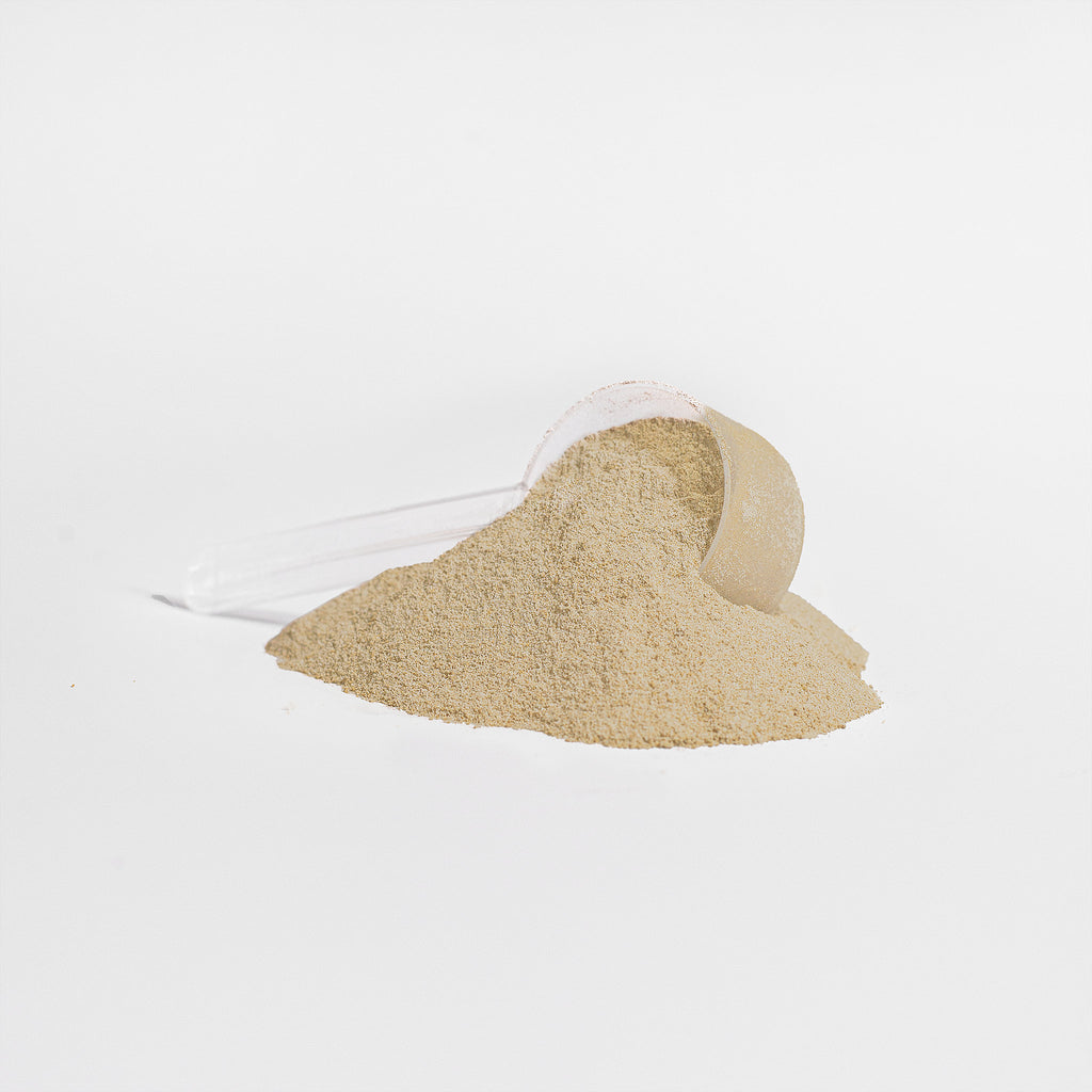 Plant Elite Protein (Vanilla)